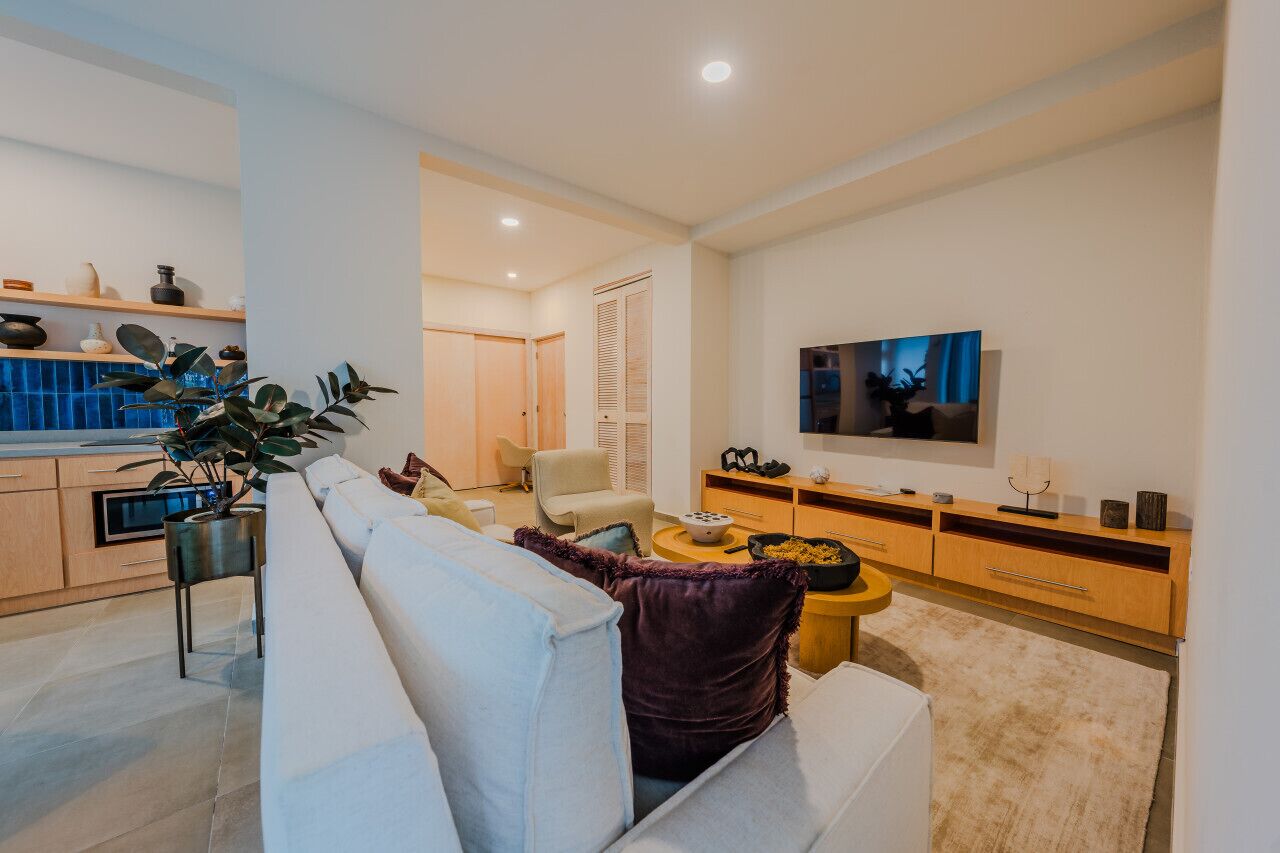 TV