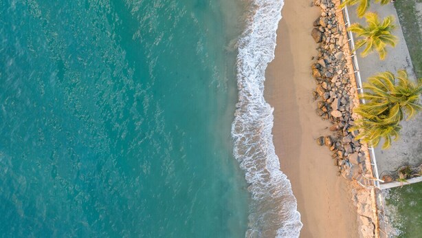 An aerial view of a beach with turquoise water, a sandy shore, and a row of palm trees. - Casa Loba Luxe Unit 3 w/private pool and garden (Rincon)