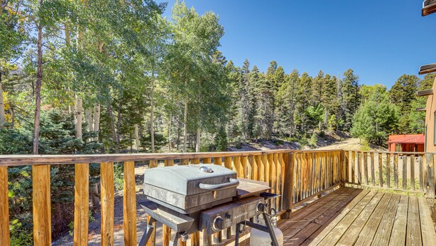 A wooden deck with a grill and propane tank, surrounded by trees and a building in the background. - Serene Amalia Cabin w/ Deck & Mountain Views (Amalia)