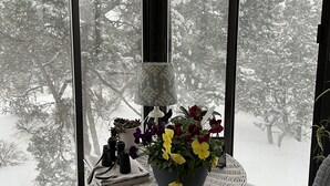 Une pièce dotée de grandes fenêtres, d’une table en osier ornée d’un pot de fleurs et d’une chaise.