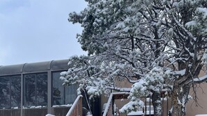 Un escalier en bois menant à l’entrée d’un bâtiment, entouré d’arbres couverts de neige et d’un véhicule garé.