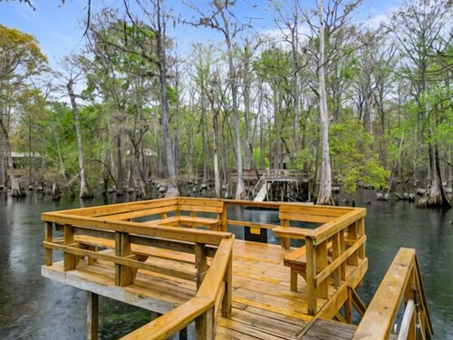 Riverfront Cabin, Ichetucknee River