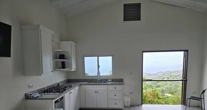 MoonView Suite