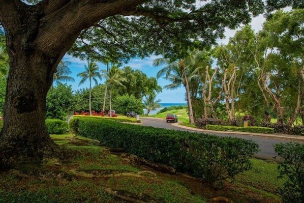 Property grounds - Hale Puamana Ho'okipa (Princeville)