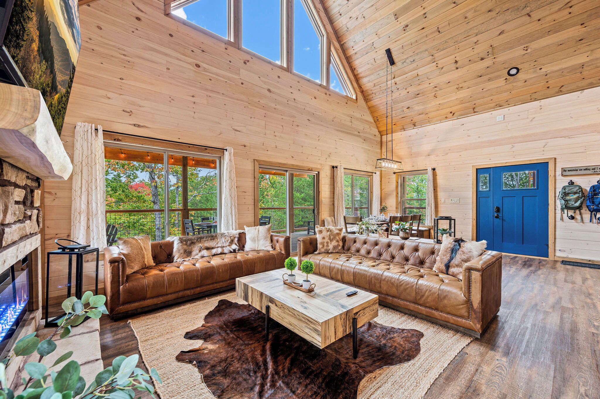 Smart TV, fireplace, video games, DVD player