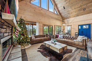 TV connectée, cheminée, jeux vidéo, lecteur de DVD