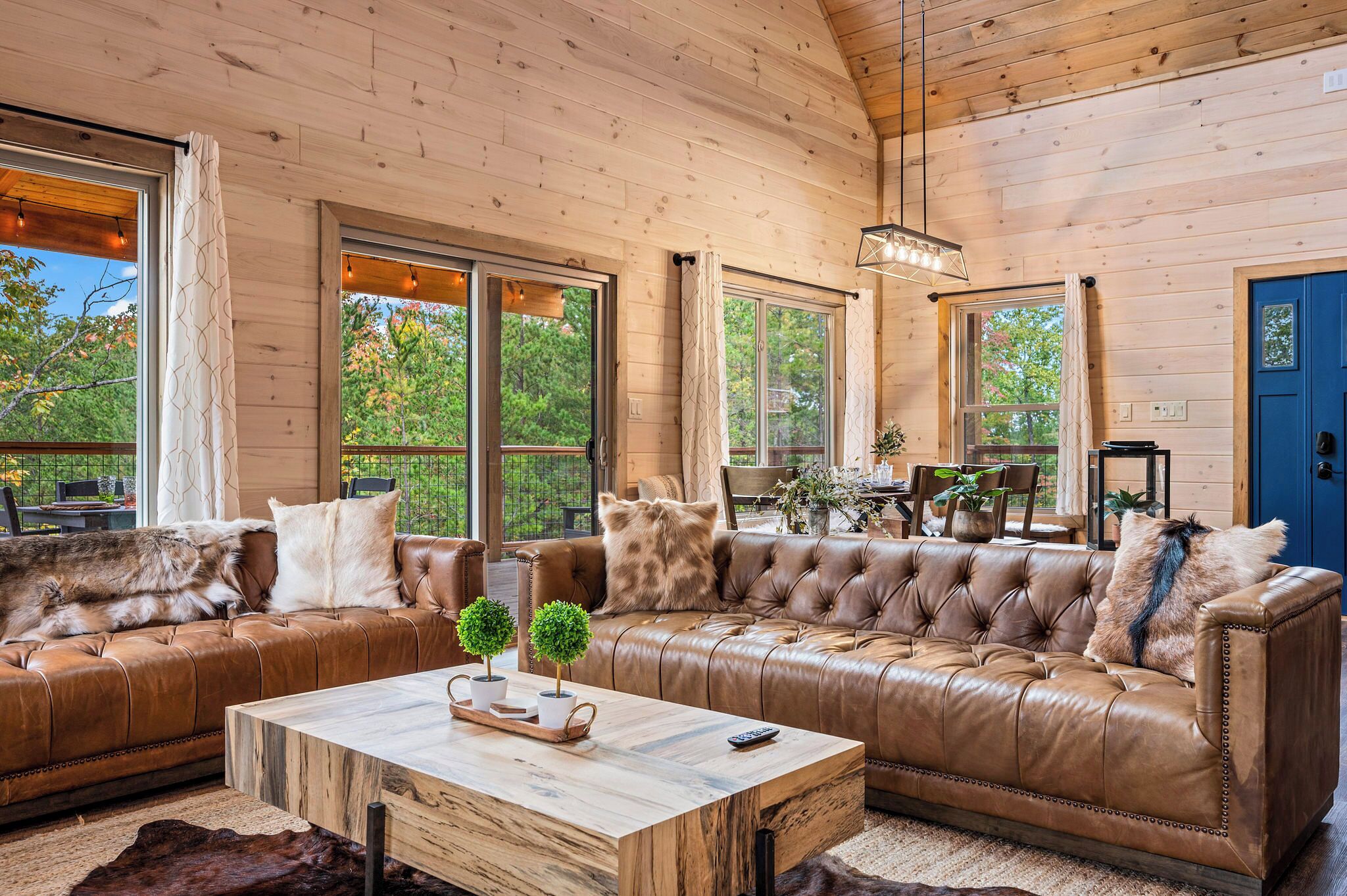 TV connectée, cheminée, jeux vidéo, lecteur de DVD