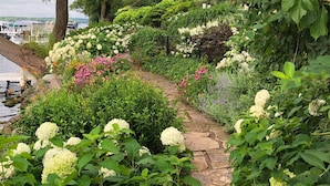 Un sendero de jardín con flores blancas de hortensia y diversos arbustos.