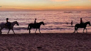 A beach scene with people riding horses along the shore during sunset. - La Joya Amatista - Walk to Beach (Nosara)
