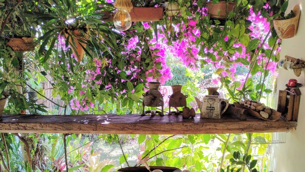 Un espace de restauration en plein air au charme rustique, avec une table dressée pour deux personnes, entourée d’une végétation luxuriante et de fleurs aux couleurs vives.