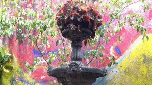 A stone fountain with a cat sitting in the basin, surrounded by potted plants and a colorful mural in the background.