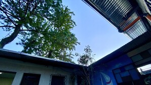 A courtyard with a tree, a building with a blue wall, and a metal roof.