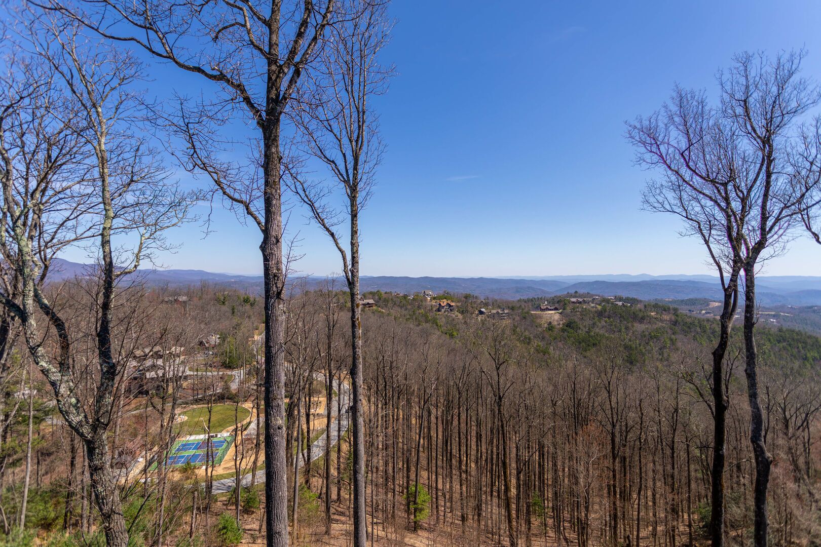 A forested landscape with a clear view of a valley and distant mountains.
