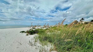 Playa en los alrededores, camastros y toallas de playa 