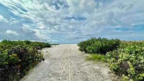Playa en los alrededores, camastros y toallas de playa 