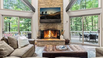 TV, fireplace, books