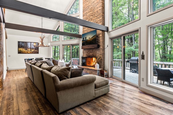 TV, fireplace, books