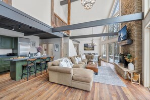 TV, fireplace, books