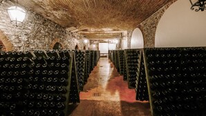 A wine cellar with rows of wine racks and stone walls.