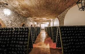 Interior - Nice apartment in Santo Stefano Belbo (Santo Stefano Belbo)