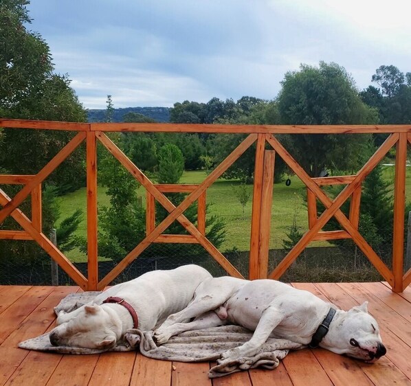 Área da propriedade