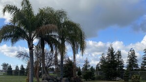 A swimming pool with a curved edge, surrounded by a concrete deck. - Beautiful Peaceful desirable home in Madera Ranchos   (Madera)