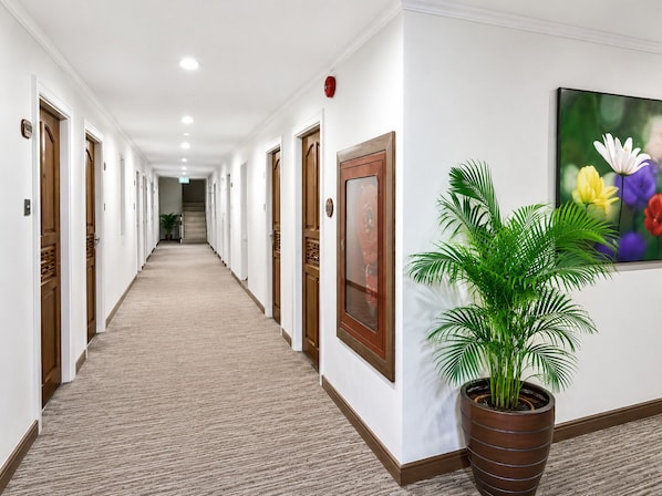 Un pasillo de hotel con puertas de madera, piso alfombrado, una planta en maceta y un cuadro en la pared.