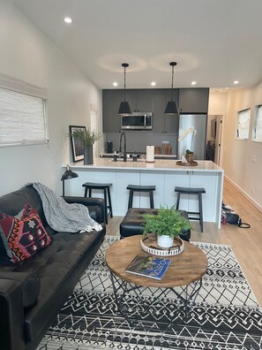 TV - Downtown Newbuild. Quiet Neighborhood Close To Everything! (Houston)