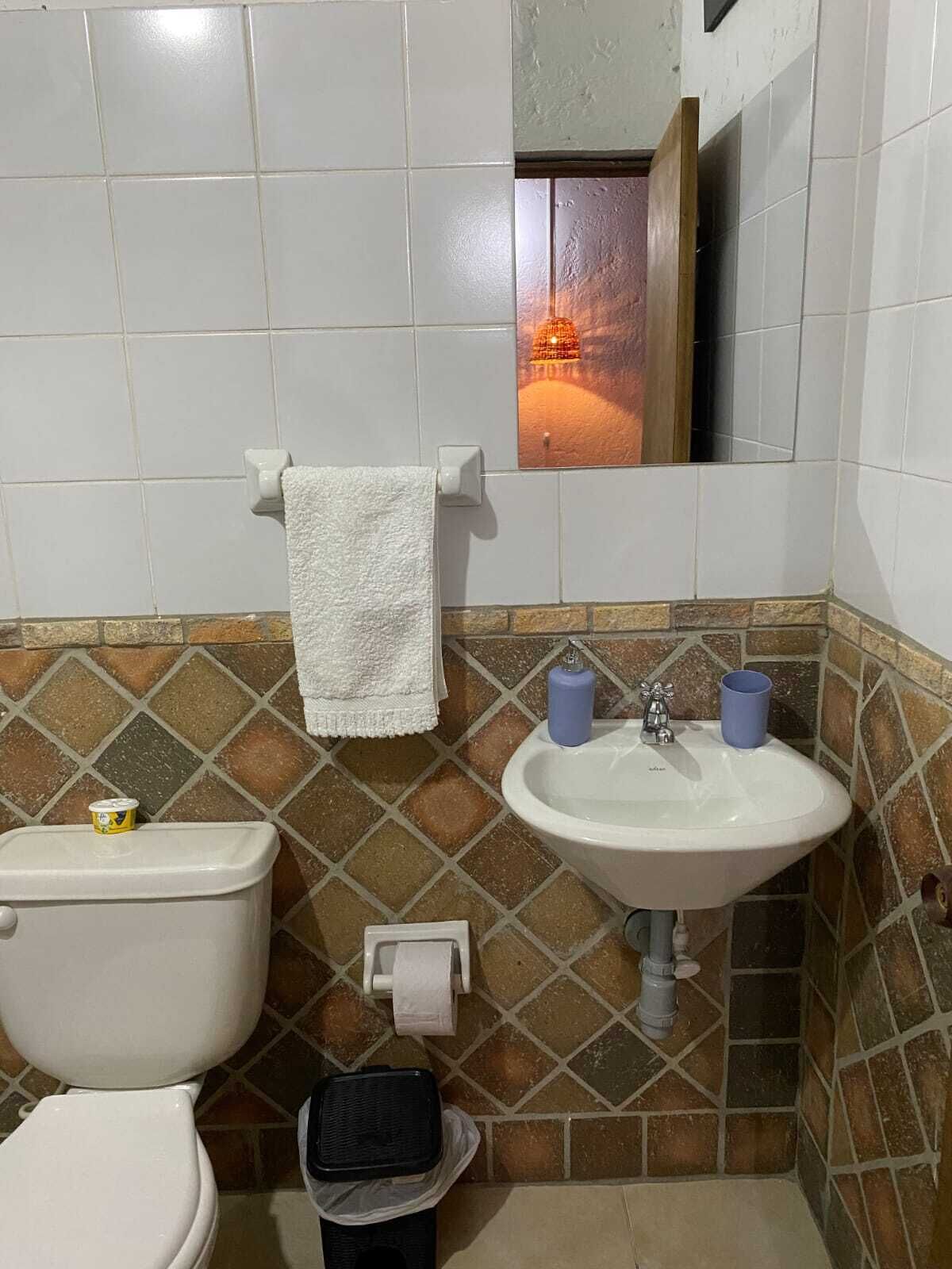 Et badeværelse med toilet, vask og spejl.