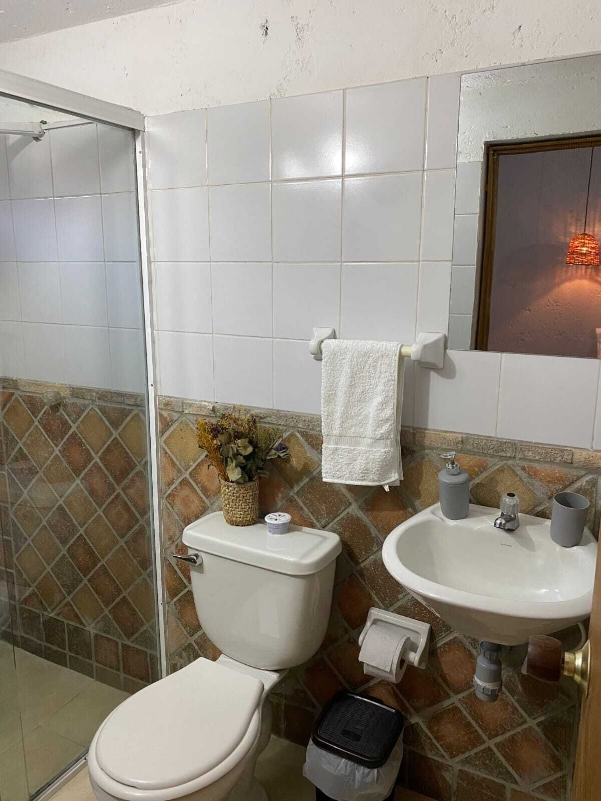 Un baño con inodoro, lavabo y zona de ducha.