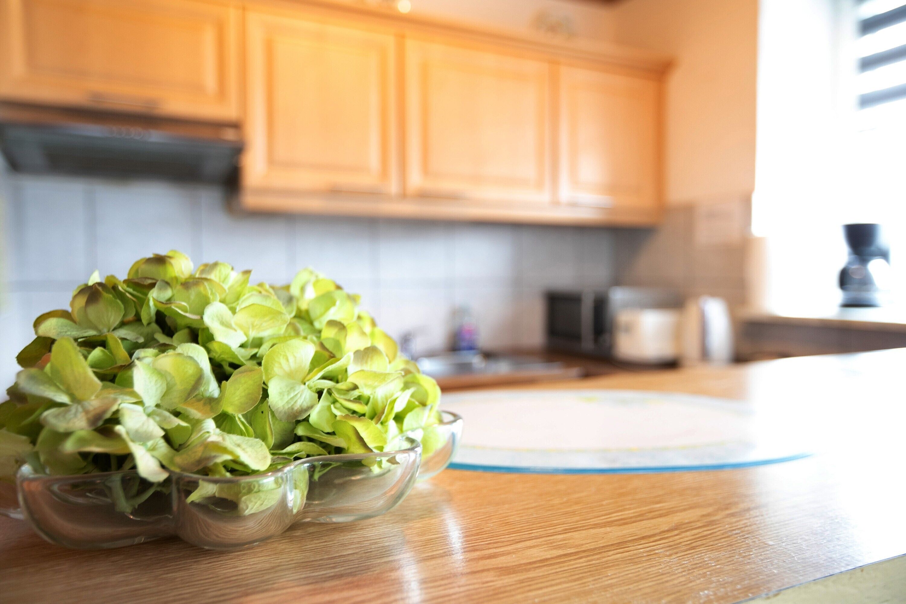 A kitchen with wooden cabinets, a countertop, and a glass bowl containing green leafy vegetables.