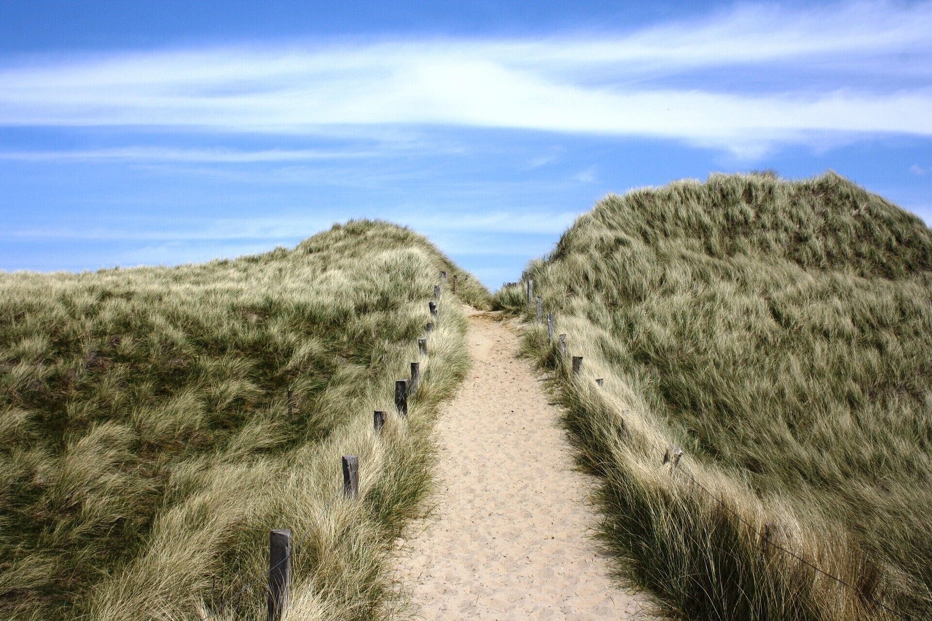 Ein sandiger Pfad, der von grasbewachsenen Dünen gesäumt wird und zu weiter Ferne führt.