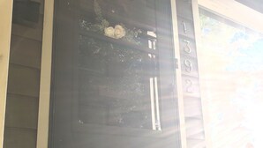 Detalj exteriör