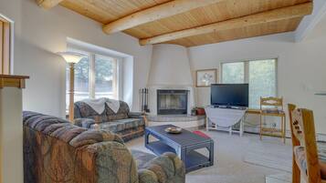 TV, fireplace, books