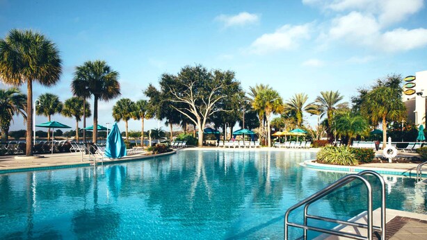 A swimming pool with lounge chairs and umbrellas, surrounded by palm trees.