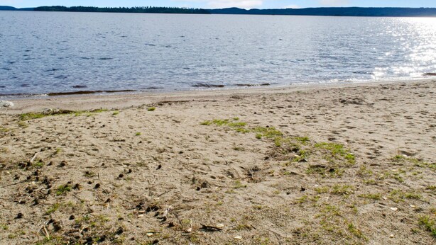 Una playa arenosa con un lago tranquilo y una costa arbolada en la distancia.