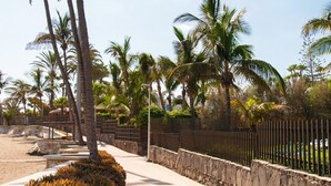 A paved pathway lined with palm trees and a stone wall, leading to a beach area. - Beachfront Nasas 4 JM by Interhome (San Agustín)