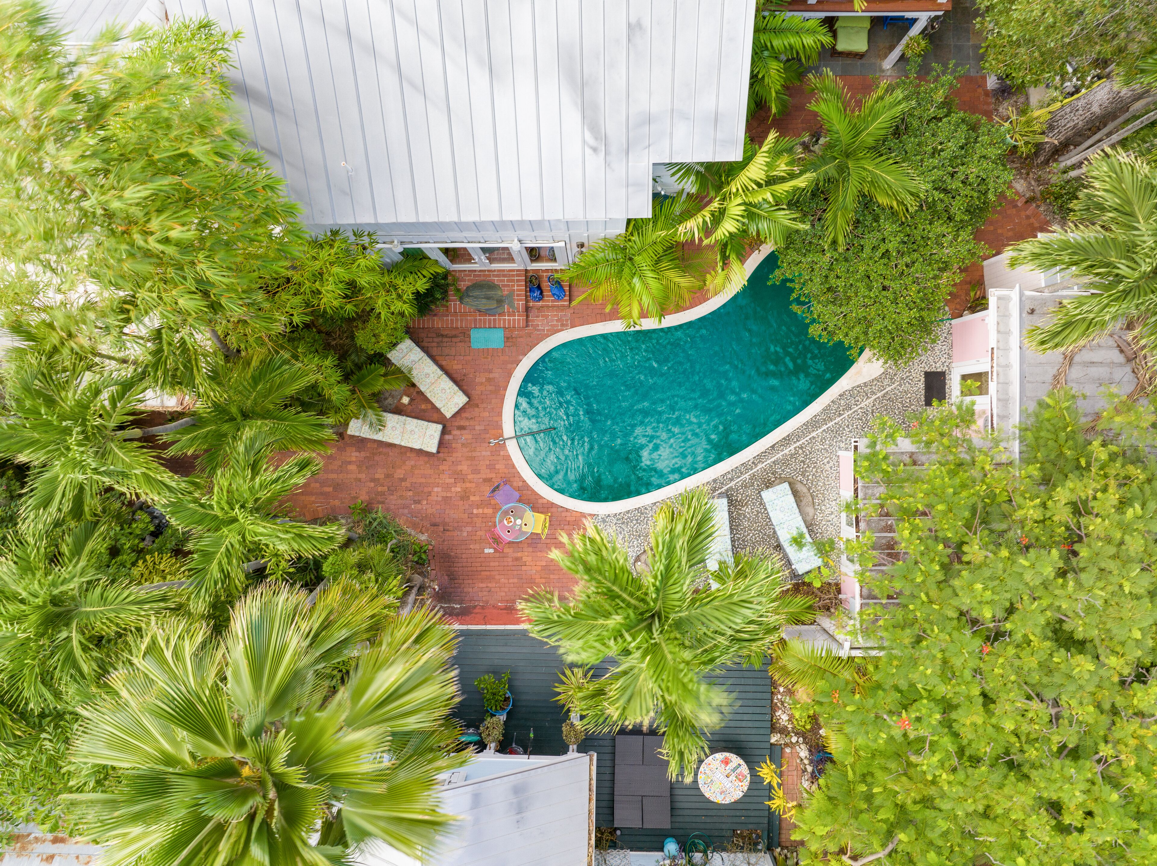 Vista aérea de un área de piscina en la azotea con sillones de descanso y una piscina rodeada de abundante vegetación.