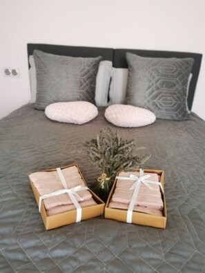 2 bedrooms, iron/ironing board, free WiFi, bed sheets