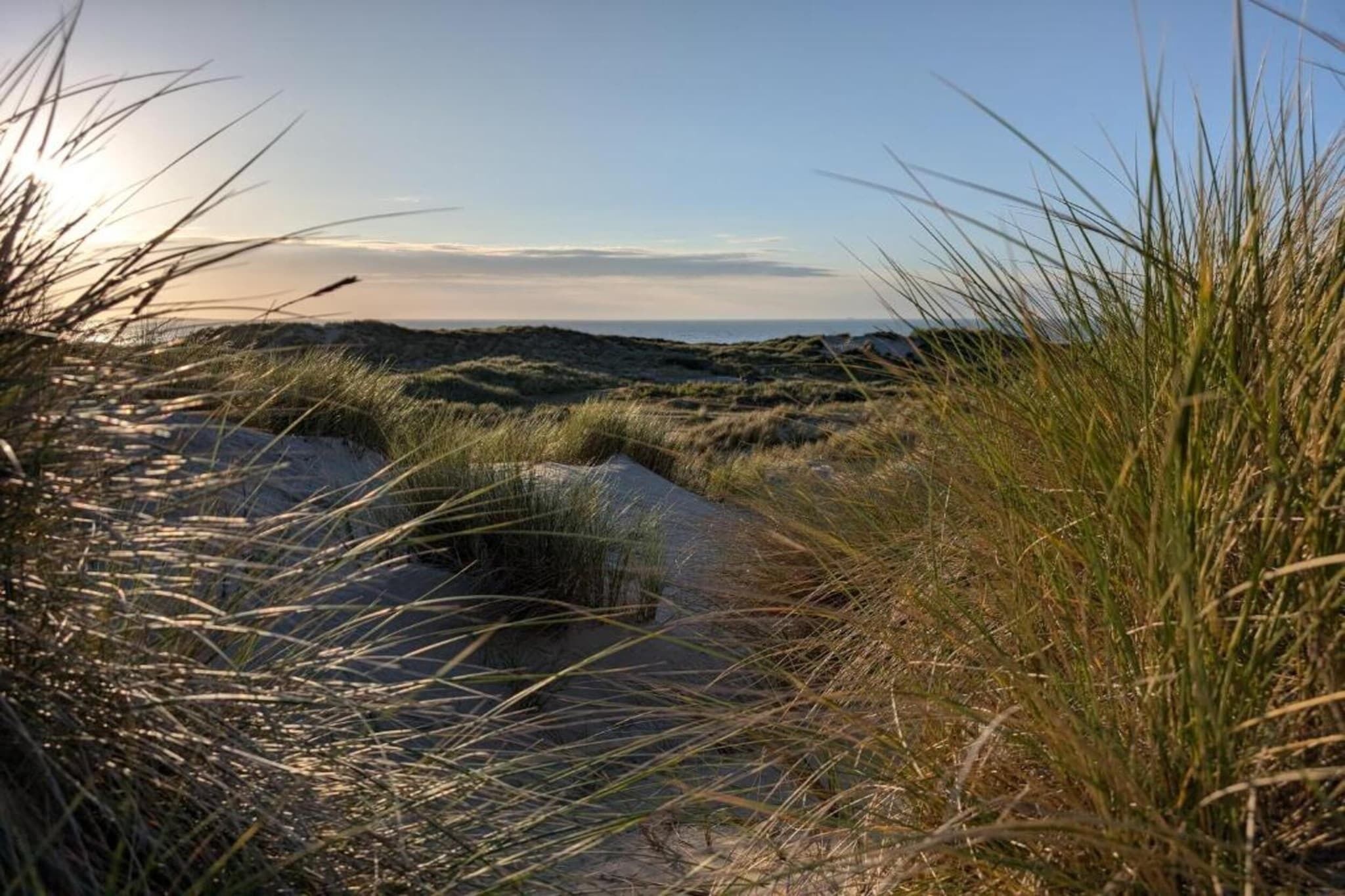 A natural landscape with dunes and grasses.