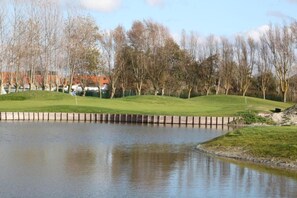 Golfe