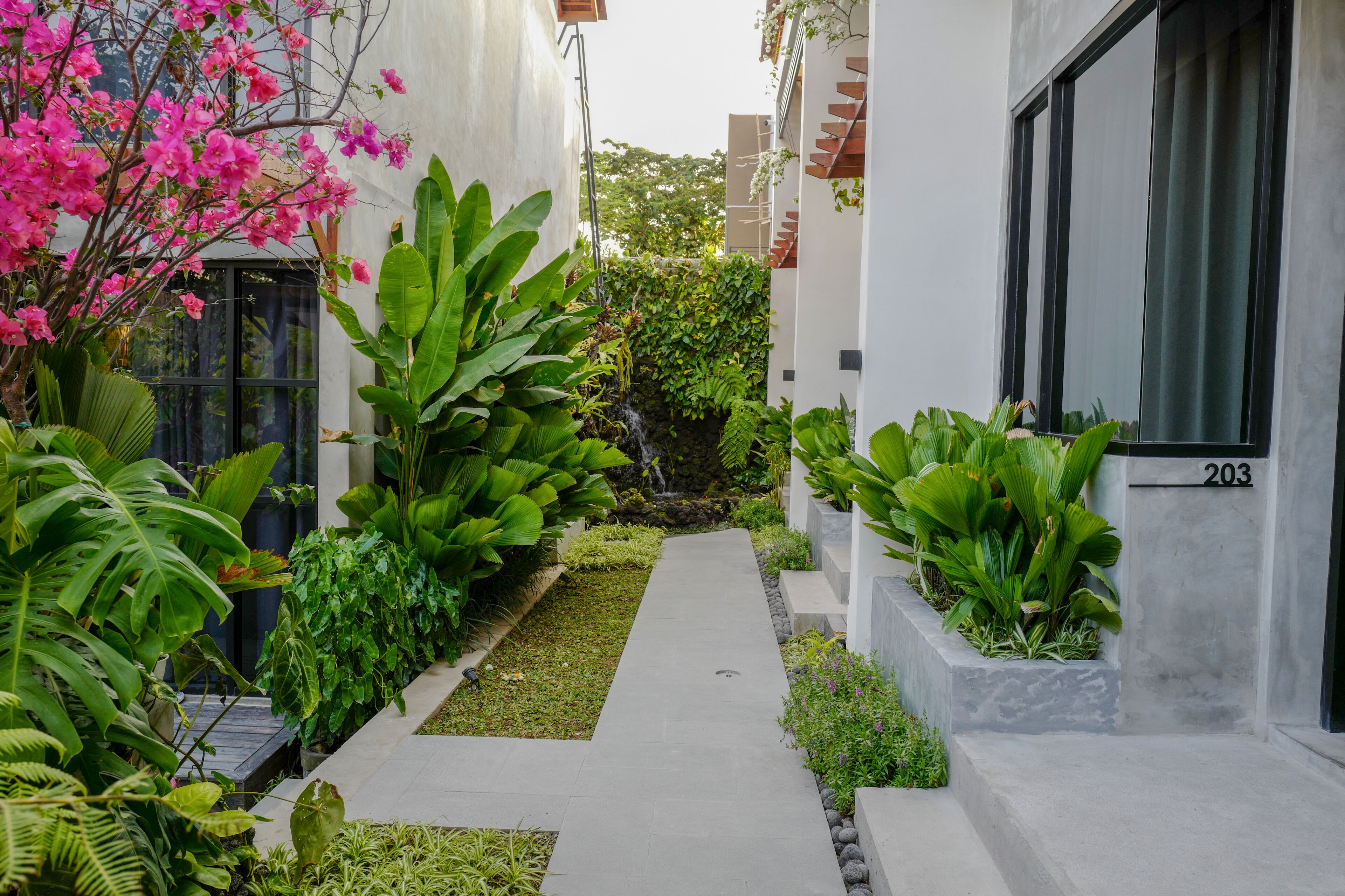 A narrow pathway flanked by lush greenery and a building with a modern facade.