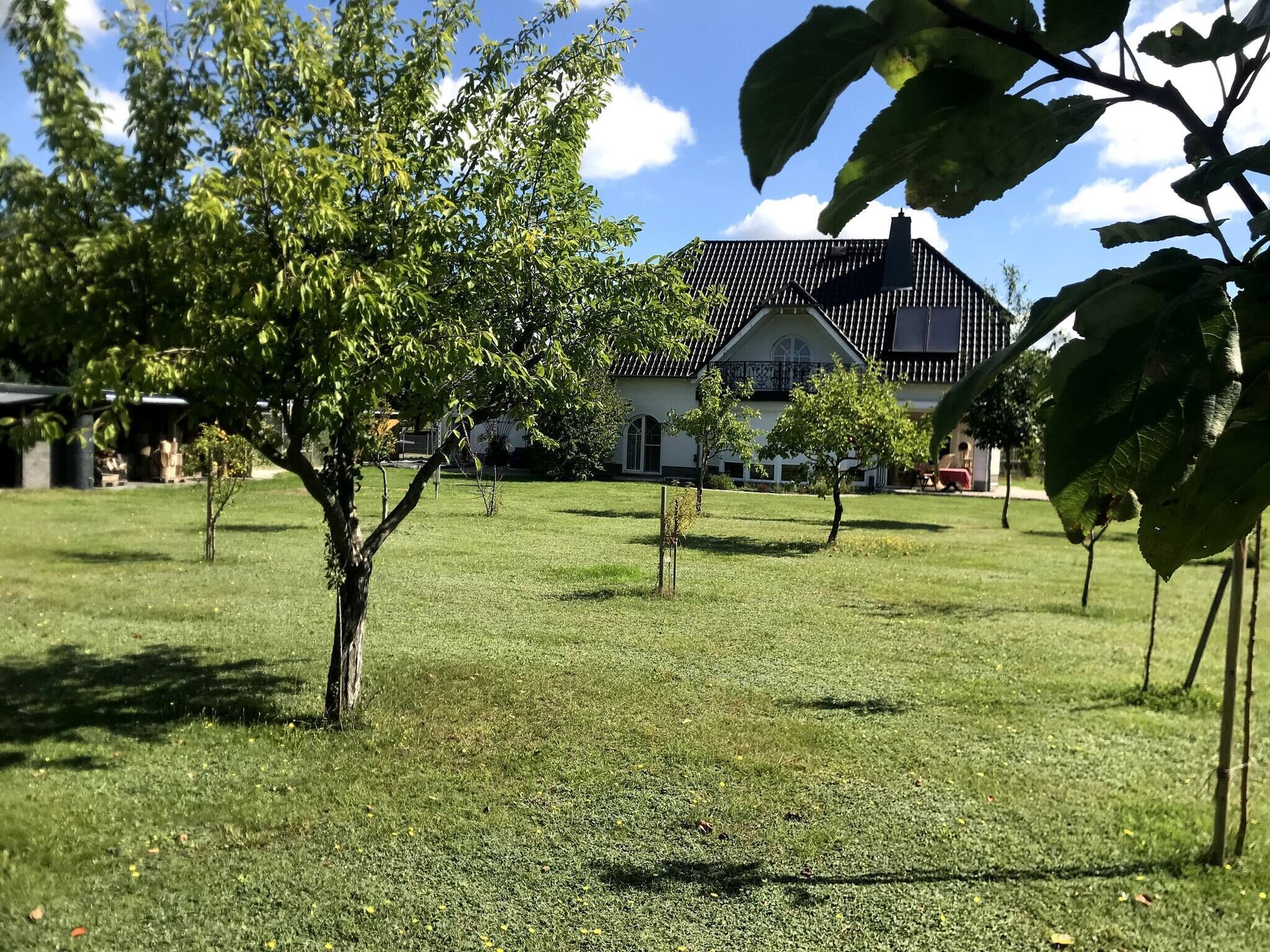 Chambre, 1 chambre, balcon, vue sur le jardin | Vue depuis l’hébergement 