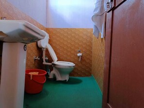 A small bathroom with a toilet, a red bucket, and a green floor. - Native Retreat Cottage Pangong Ladakh UT (Leh)