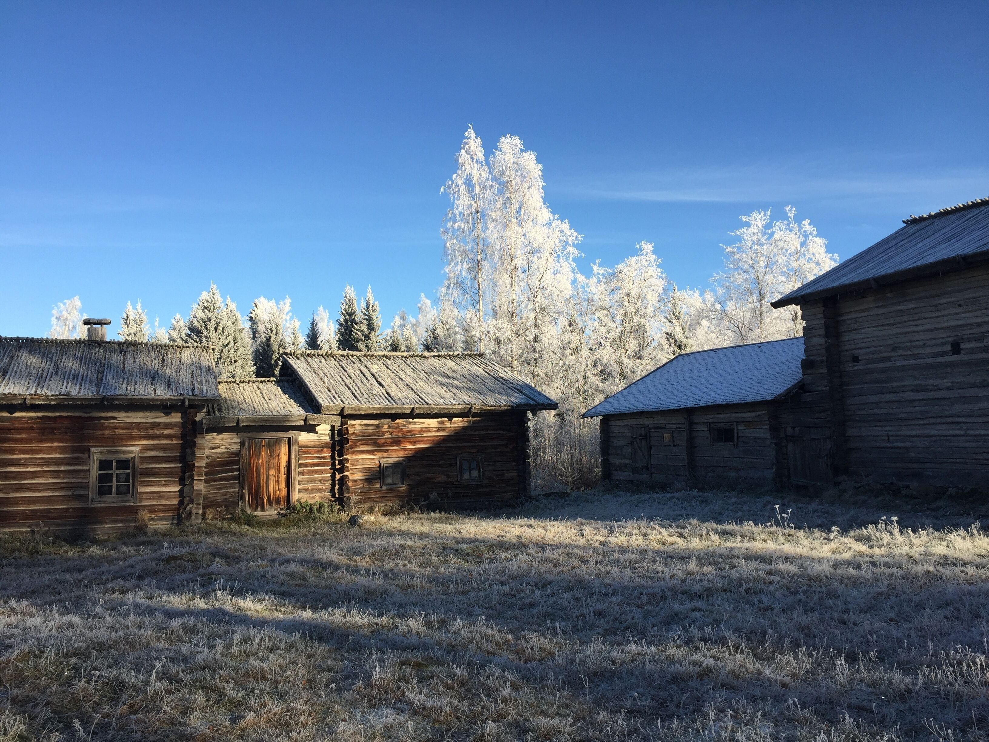 A rustic wooden cabin with a thatched roof, surrounded by a frosty field and tall, snow-covered trees under a clear blue sky.