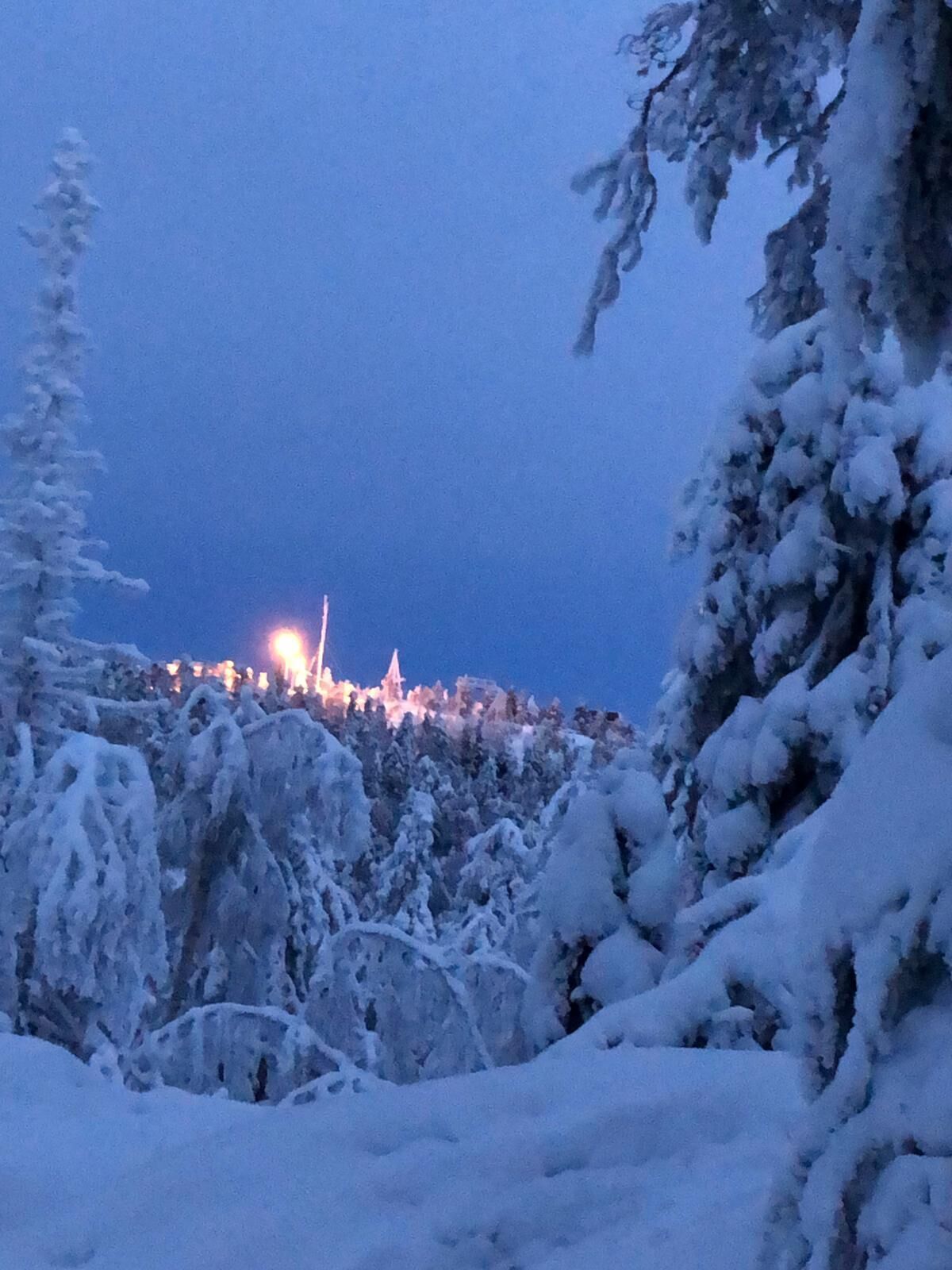 Un paysage enneigé avec une source de lumière lointaine, qui pourrait être une ville ou une agglomération, et des arbres recouverts de neige.