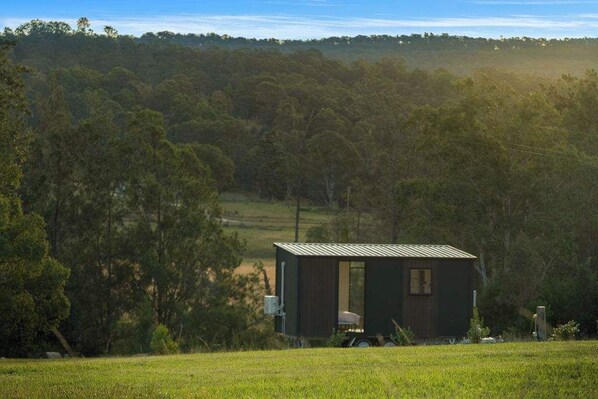 A small, dark-colored cabin in a grassy field with trees in the background. - Tiny Tallowood by Tiny Away (Glenreagh)