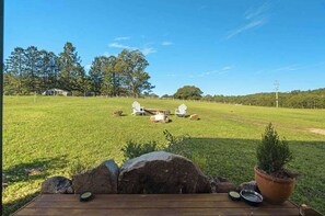 Property grounds - Tiny Grey Gum by Tiny Away (Glenreagh)