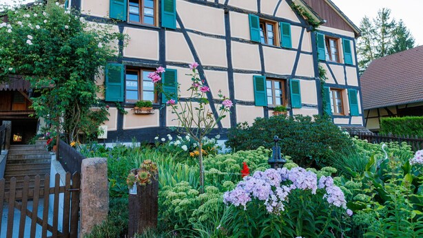 Une maison traditionnelle à colombages avec un jardin à l’avant.