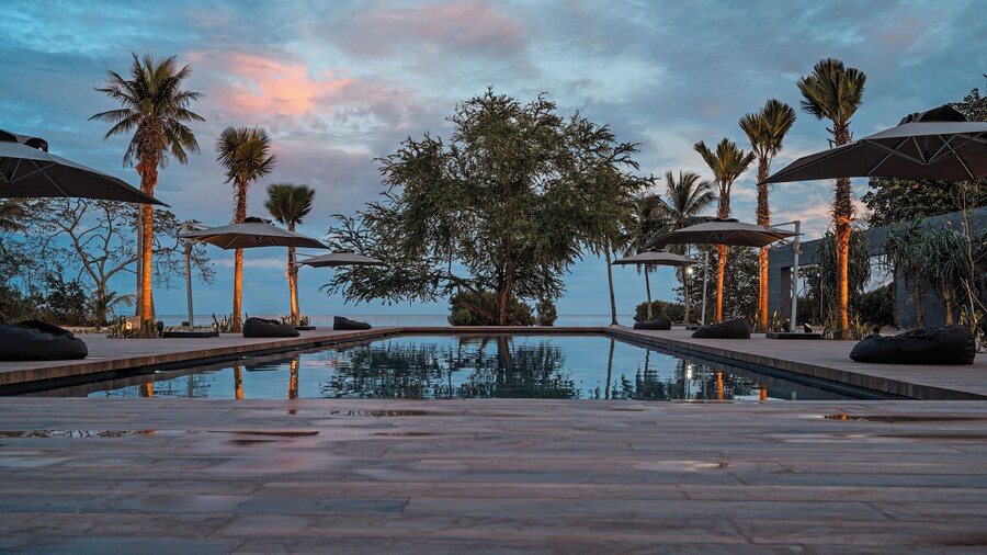 The Funny Lion - Puerto Princesa